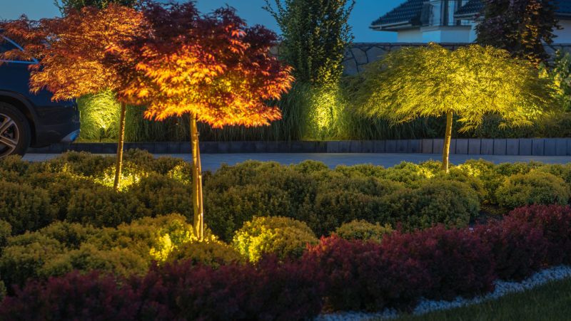 Landscape Lighting Installation detail